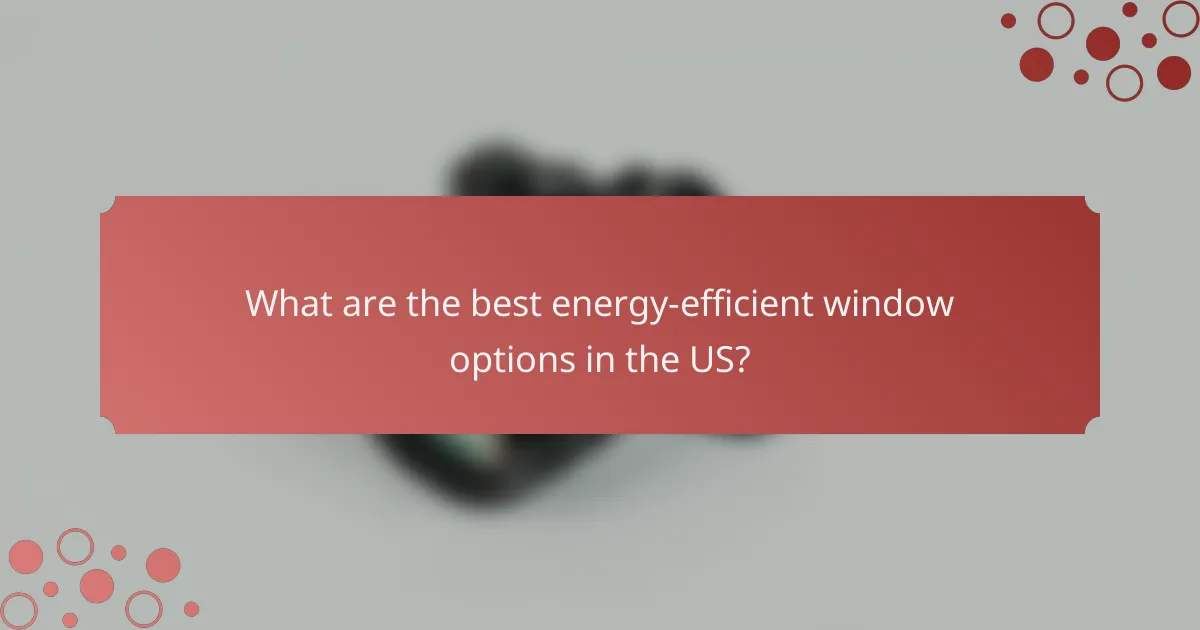 What are the best energy-efficient window options in the US?